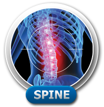 Spine Services Icon