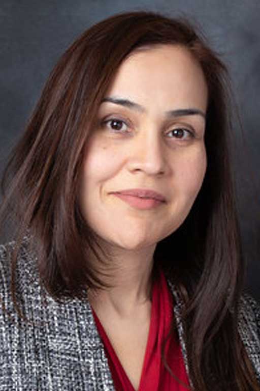 Ghazala Saleem, EdD, MS, OTR/L