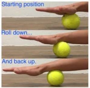 Tennis Ball Wrist Roll
