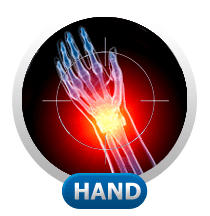 Hand and Wrist Services